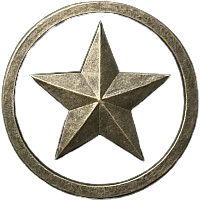 Silver Icon